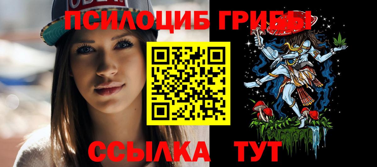 МЕФ Грязи