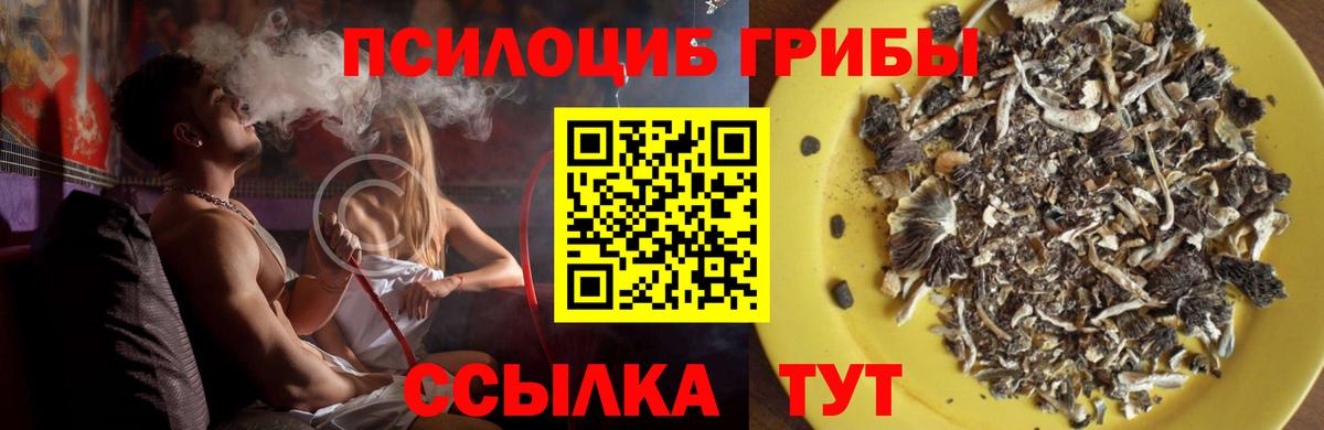 Галлюциногенные грибы Magic Shrooms Грязи