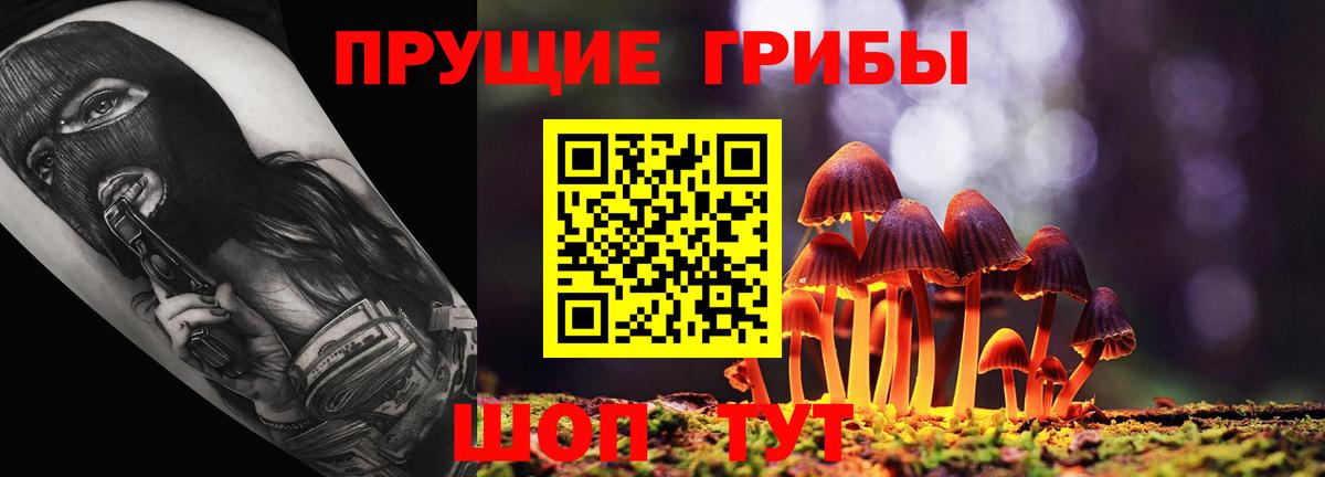 Псилоцибиновые грибы ЛСД  Псилоцибиновые грибы прущие грибы  Вход с VPN  Грязи 